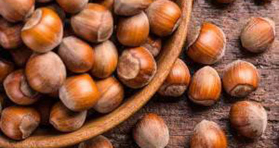 تعبیر خواب درخت بلوط در خواب ، معنی دیدن درخت بلوط در خواب های ما چیست تعبیر خواب درخت بلوط در خواب ، معنی دیدن درخت بلوط در خواب های ما چیست