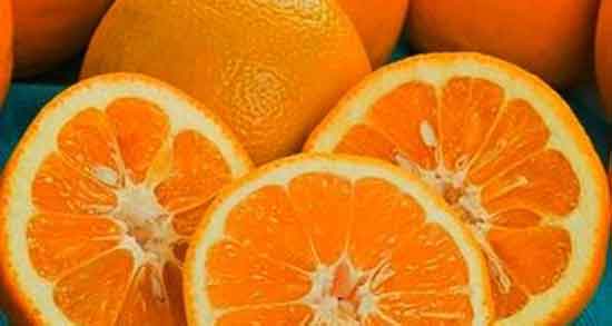 تعبیر خواب درخت نارنج و پرتقال ، معنی دیدن درخت نارنج و پرتقال در خواب چیست تعبیر خواب درخت نارنج و پرتقال ، معنی دیدن درخت نارنج و پرتقال در خواب چیست