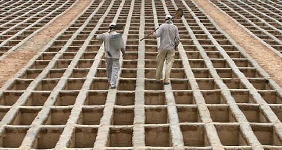 تعبیر خواب دفن کردن مرده امام صادق ، حضرت یوسف و ابن سیرین