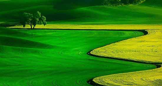 تعبیر خواب دیدن آب در بیابان ، معنی دیدن آب در بیابان در خواب های ما چیست