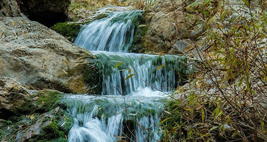 تعبیر خواب دیدن طبیعت ، معنی دیدن طبیعت در خواب های ما چیست