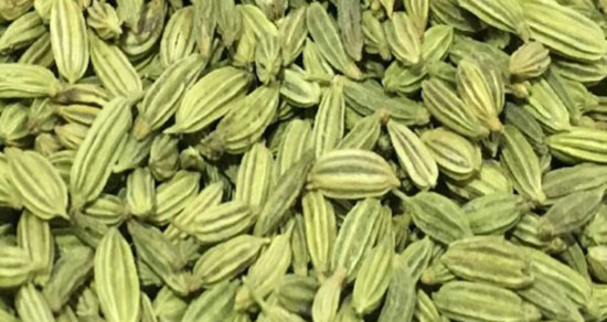 تعبیر خواب رازیانه گرفتن ، معنی رازیانه گرفتن در خواب های ما چیست