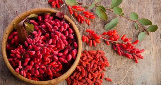 تعبیر خواب زرشک امام صادق ، حضرت یوسف و ابن سیرین و منوچهر مطیعی