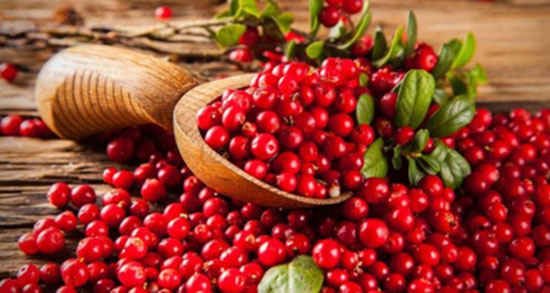 تعبیر خواب زغال اخته ، معنی دیدن زغال اخته در خواب های ما چیست