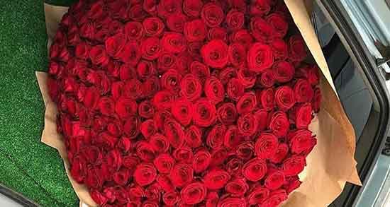 تعبیر خواب شاخه گل رز ، معنی دیدن شاخه گل رز در خواب های ما چیست