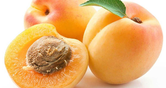 تعبیر خواب شفتالو حضرت یوسف ، امام صادق و ابن سیرین و منوچهر مطیعی