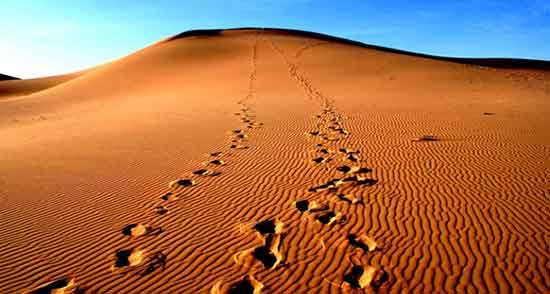 تعبیر خواب شن کویر ، معنی دیدن شن کویر در خواب های ما چیست