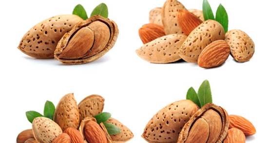 تعبیر خواب شکوفه بادام ، معنی دیدن شکوفه بادام در خواب های ما چیست تعبیر خواب شکوفه بادام ، معنی دیدن شکوفه بادام در خواب های ما چیست