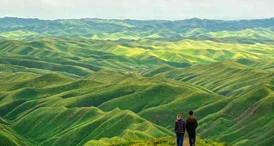 تعبیر خواب صحرا سرسبز ، معنی دیدن صحرا سرسبز در خواب های ما چیست