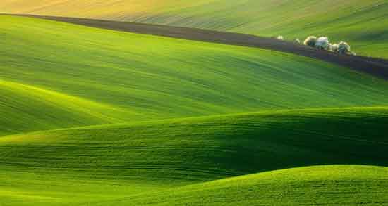 تعبیر خواب صحرا و بیابان ، معنی دیدن صحرا و بیابان در خواب های ما چیست