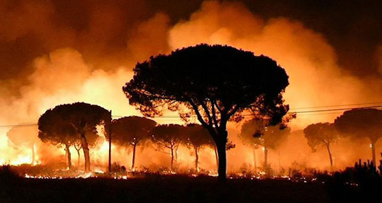 تعبیر خواب صحرای محشر و معنی دیدن صحرای محشر در خواب های ما چیست تعبیر خواب صحرای محشر ، معنی دیدن صحرای محشر در خواب های ما چیست