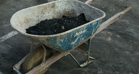 تعبیر خواب فرغون ، معنی دیدن فرغون در خواب های ما چیست