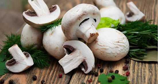 تعبیر خواب قارچ برای زن باردار ، معنی دیدن قارچ برای زن باردار در خواب چیست