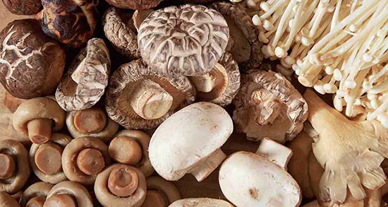 تعبیر خواب قارچ سفید بزرگ ، معنی دیدن قارچ سفید بزرگ در خواب ما چیست