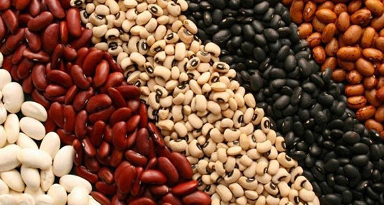 تعبیر خواب لوبیا کاشتن ، معنی لوبیا کاشتن در خواب های ما چیست