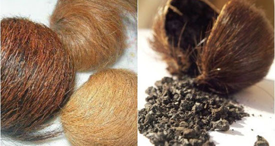 تعبیر خواب مشک خوشبو ، معنی دیدن مشک خوشبو در خواب های ما چیست تعبیر خواب مشک خوشبو ، معنی دیدن مشک خوشبو در خواب های ما چیست