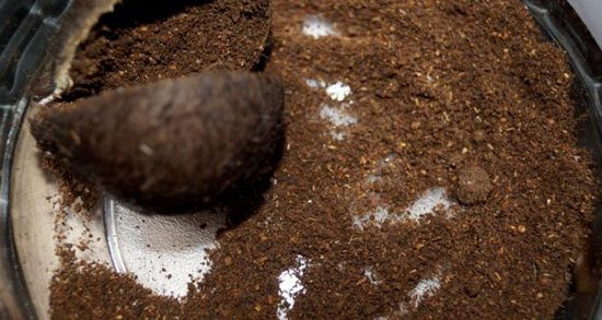 تعبیر خواب مشک روغن حیوانی ، معنی دیدن مشک روغن حیوانی در خواب چیست