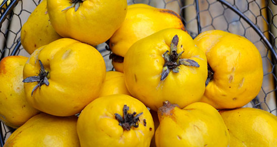 تعبیر خواب میوه به برای زن باردار ، معنی دیدن میوه به برای زن باردار در خواب