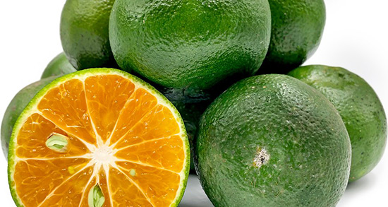 تعبیر خواب نارنگی شیرین ، معنی دیدن نارنگی شیرین در خواب های ما چیست