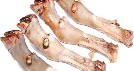 تعبیر خواب پاچه خوردن ، معنی پاچه خوردن در خواب های ما چیست