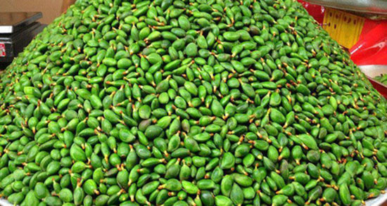 تعبیر خواب چغاله بادام ، معنی دیدن چغاله بادام در خواب های ما چیست