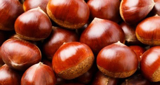 تعبیر خواب چوب بلوط ، معنی دیدن چوب بلوط در خواب های ما چیست