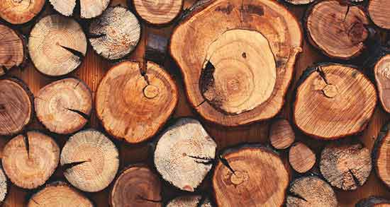 تعبیر خواب چوب جمع کردن ، معنی چوب جمع کردن در خواب های ما چیست