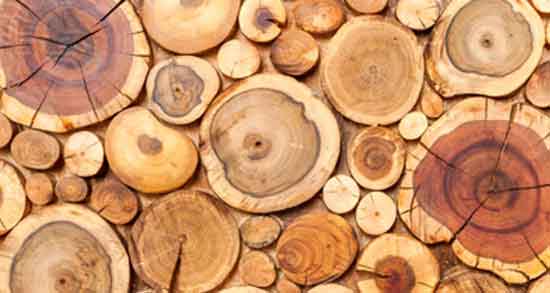 تعبیر خواب چوب دستی ، معنی دیدن چوب دستی در خواب های ما چیست