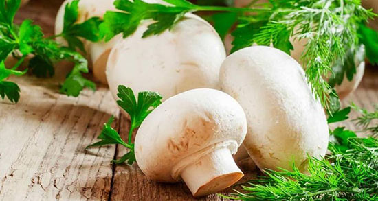 تعبیر خواب چیدن قارچ سفید ، معنی چیدن قارچ سفید در خواب های ما چیست تعبیر خواب چیدن قارچ سفید ، معنی چیدن قارچ سفید در خواب های ما چیست