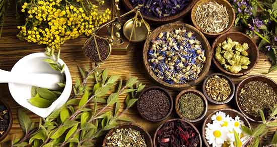تعبیر خواب کاسنی چیست ، معنی دیدن کاسنی در خواب های ما چیست