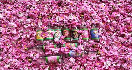 تعبیر خواب گلاب پاشی ، معنی گلاب پاشی در خواب های ما چیست