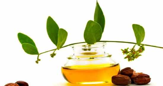 تهیه روغن عناب ؛ روشی ساده برای درست کردن روغن عناب خانگی