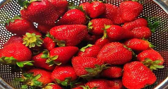 توت فرنگی و خواص آن ؛ همه چیز درباره خاصیت خوردن توت فرنگی برای سلامتی