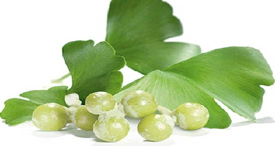 جینکوبیلوبا و افسردگی ؛ تاثیر استفاده از جینکوبیلوبا برای درمان افسردگی