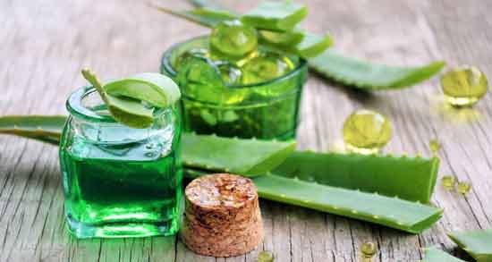 خاصیت آلوئه ورا ؛ آشنایی با خواص دارویی و درمانی آلوئه ورا