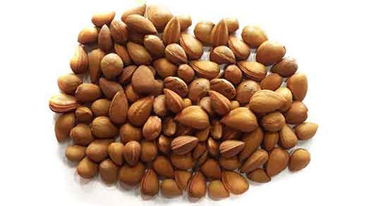 خاصیت بادام کوهی و خواص درمانی مصرف بادام کوهی برای سلامت بدن خاصیت بادام کوهی ؛ خواص درمانی مصرف بادام کوهی برای سلامت بدن