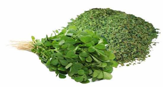 خاصیت برگ شنبلیله ؛ آشنایی با خواص دارویی و درمانی برگ شنبلیله