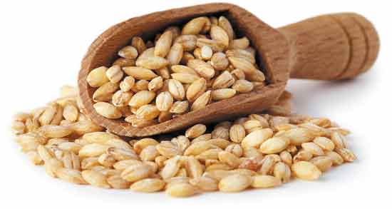 خاصیت بلغور جو ؛ آشنایی با خواص دارویی و درمانی بلغور جو