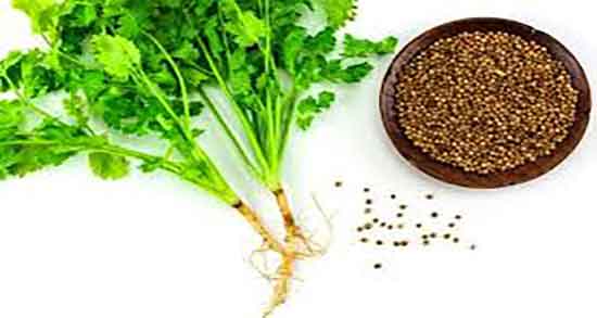 خاصیت تخمه گشنیز ؛ خواص تخمه گشنیز برای تقویت پوست و مو