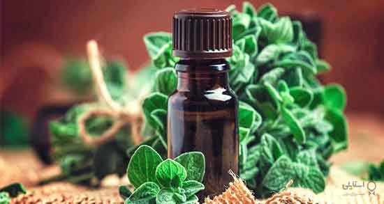 خاصیت روغن پونه کوهی ؛ فواید مصرف روغن پونه کوهی برای پوست صورت