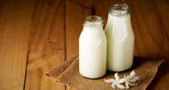 خاصیت شیر گاومیش و مواد مغذی موجود در شیر گاومیش مفید برای سلامت بدن خاصیت شیر گاومیش ؛ مواد مغذی موجود در شیر گاومیش مفید برای سلامت بدن