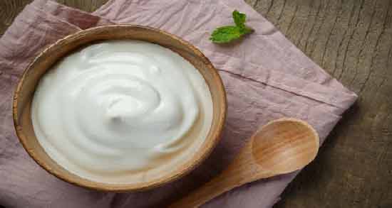 خاصیت ماست پروبیوتیک ؛ خواص دارویی و درمانی ماست پروبیوتیک