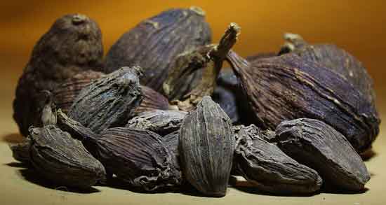 خاصیت هل باد ؛ خواص دارویی و درمانی هل باد
