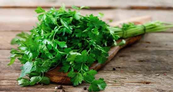 خواص آب گشنیز برای مو ؛ درمان ریزش مو با مصرف آب گشنیز