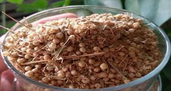 خواص افتیمون برای وسواس فکری ؛ فواید مصرف افتیمون برای درمان وسواس فکری