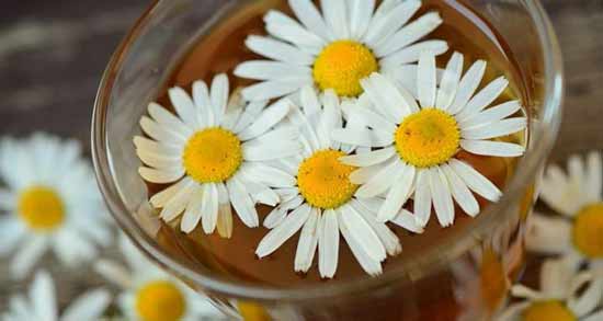 خواص بابونه برای سرماخوردگی کودکان ؛ خاصیت خوردن بابونه برای درمان سرماخوردگی کودکان