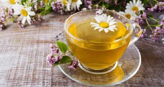 خواص بابونه برای عفونت ؛ فواید مصرف بابونه برای درمان عفونت