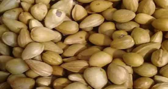 خواص بادام کوهی برای بارداری ؛ فواید مصرف بادام کوهی برای زن باردار