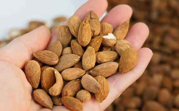 خواص بادام کوهی شیرین شده برای لاغری و مو و معده در طب سنتی خواص بادام کوهی شیرین شده خواص بادام کوهی برای لاغری خواص بادام کوهی نی نی سایت قیمت بادام کوهی خواص بادام کوهی برای مو دمنوش چوب درخت بادام کوهی خواص شکوفه بادام کوهی خواص بادام کوهی برای معده