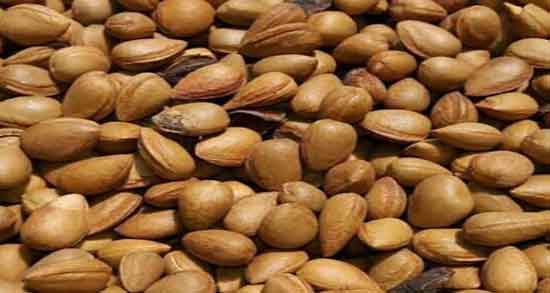 خواص بادام کوهی یا الوک ؛ خواص درمانی مصرف بادام کوهی یا الوک برای بدن